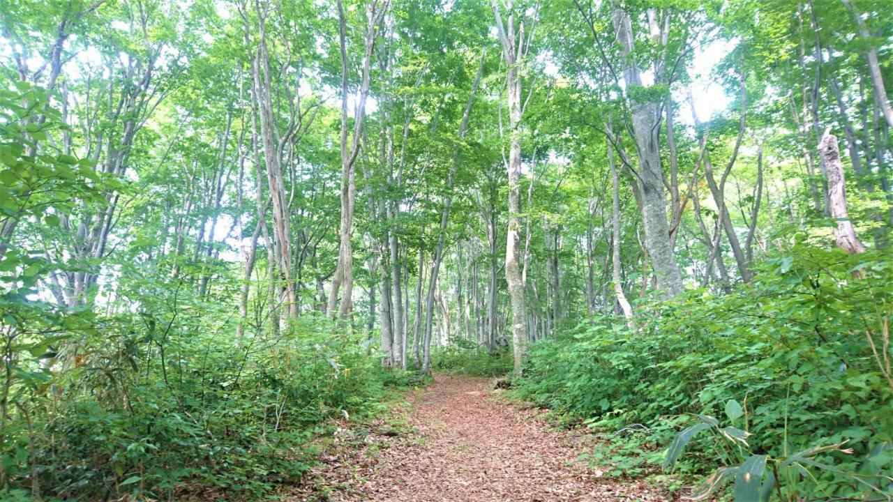 Blueberry Pension Madarao Iiyama Exterior photo