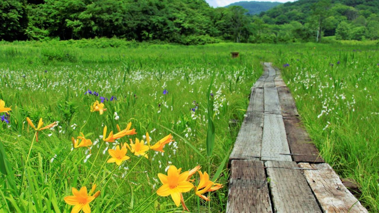 Blueberry Pension Madarao Iiyama Exterior photo